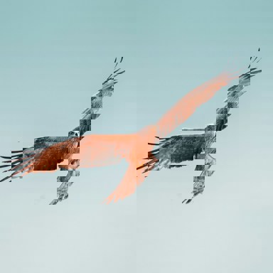 Martin Adams JM3H Hazqo0 Unsplash