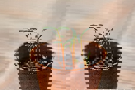 Christine I3sr5pnucoa Unsplash